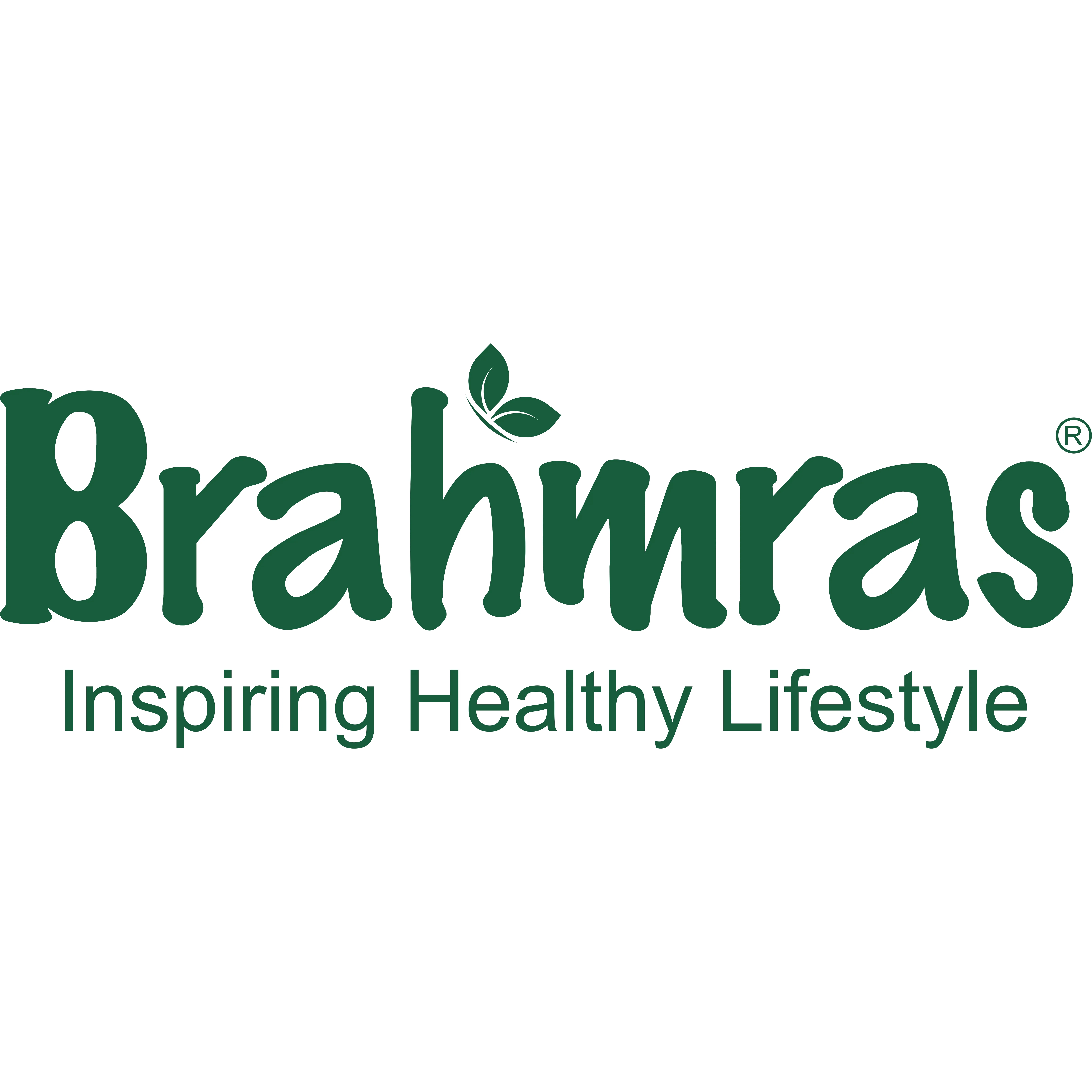 Brahmras client logo