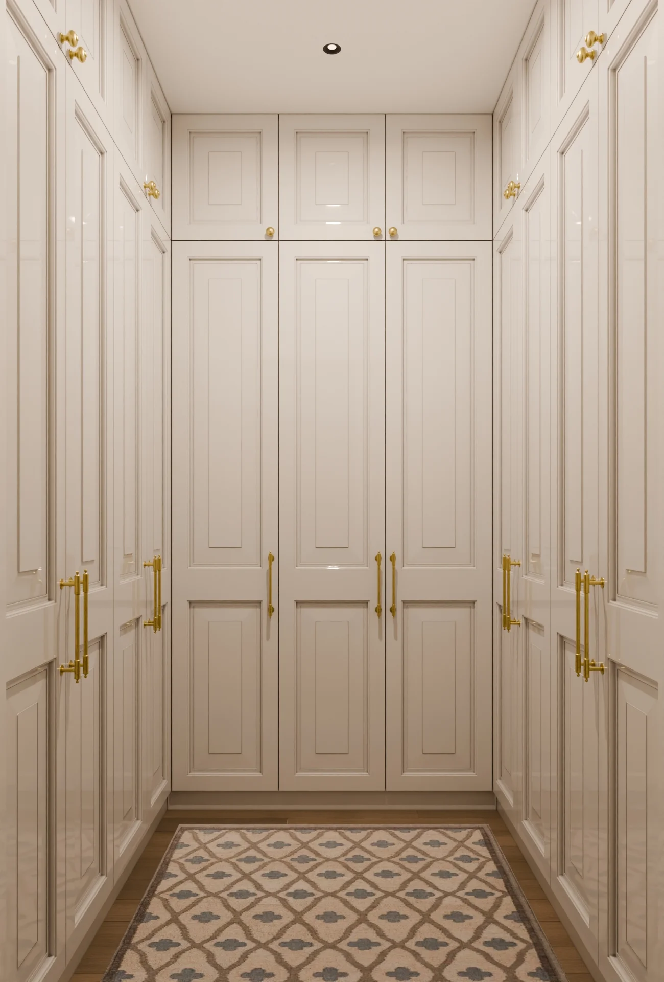 Walk-in Wardrobe Residential render